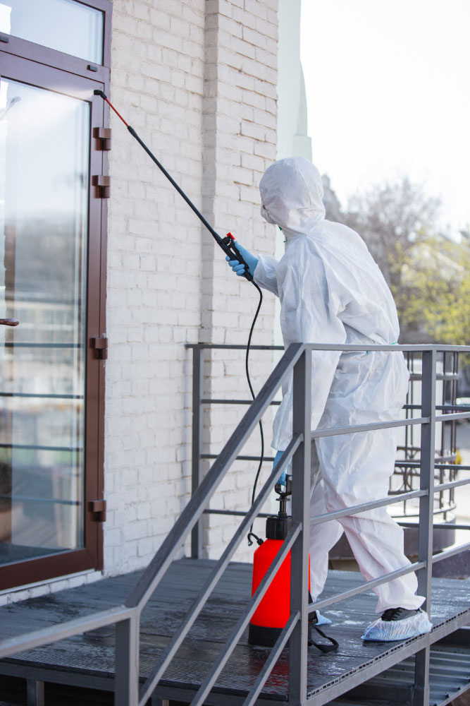 pressure washing services